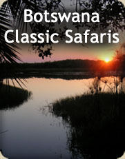 Tours and Safaris to Botswana